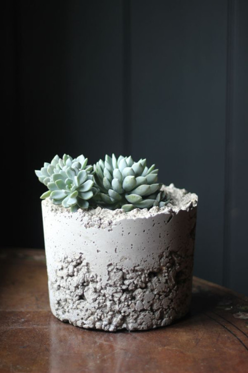 diy-concrete-planter-growing-spaces-blog